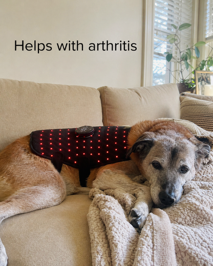 PawRelief™ — Red Light Therapy Pad for Dogs